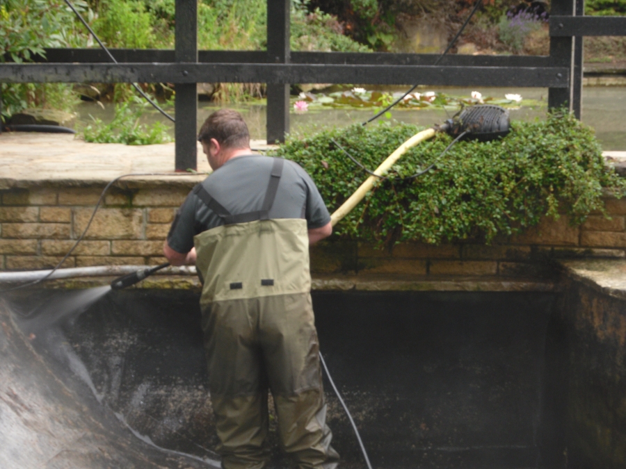 Great Hallingbury Essex pond clean