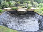 Great Hallingbury Essex pond clean