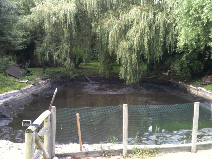 Epping Essex duck pond clean and liner install