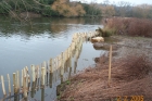 Bank Erosion and Dipping Platform construction