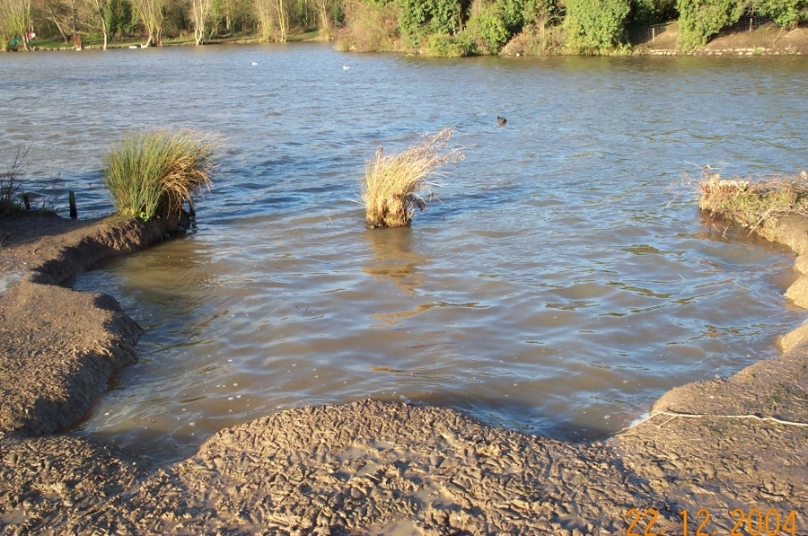 Bank Erosion and Dipping Platform construction