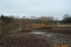 Bank Erosion and Dipping Platform construction