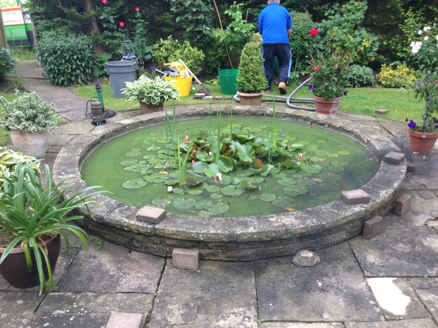 Southgate, London pond clean