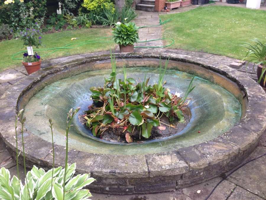 Southgate, London pond clean