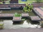 Bishops Stortford, Hertfordshire pond & filter clean