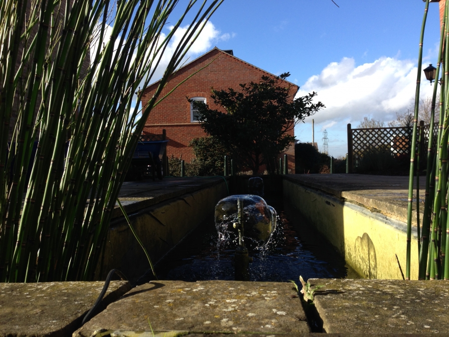 Girton, Cabridgeshire pond clean