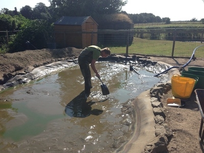 Duck pond cleaning in Kings Langley, Hertfordshire