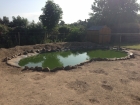 Duck pond cleaning in Kings Langley, Hertfordshire