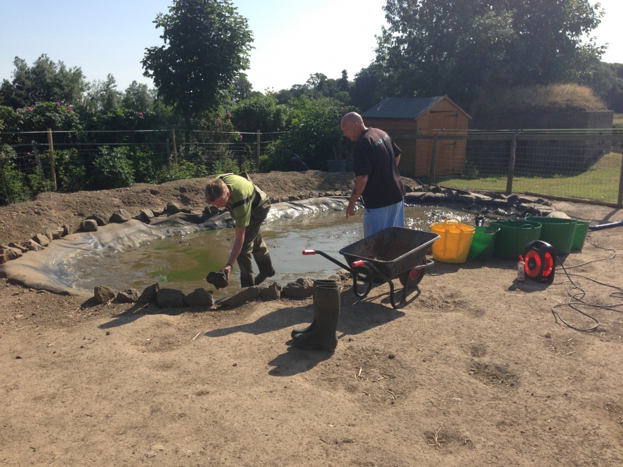 Duck pond cleaning in Kings Langley, Hertfordshire