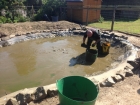 Duck pond cleaning in Kings Langley, Hertfordshire