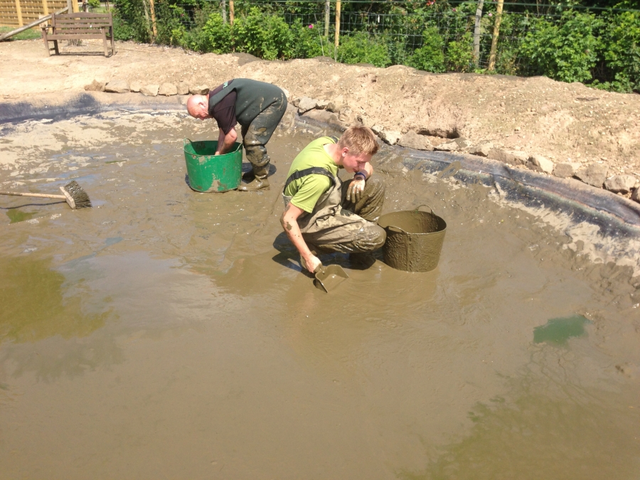 Duck pond cleaning in Kings Langley, Hertfordshire