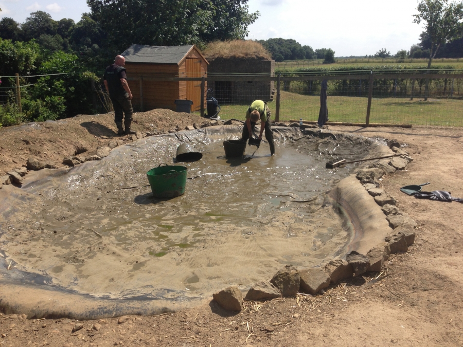 Duck pond cleaning in Kings Langley, Hertfordshire