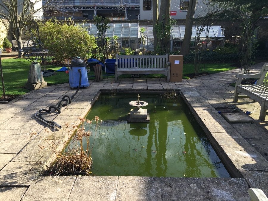 Downing College, Cambridge University, Cambridgeshire pond renovation