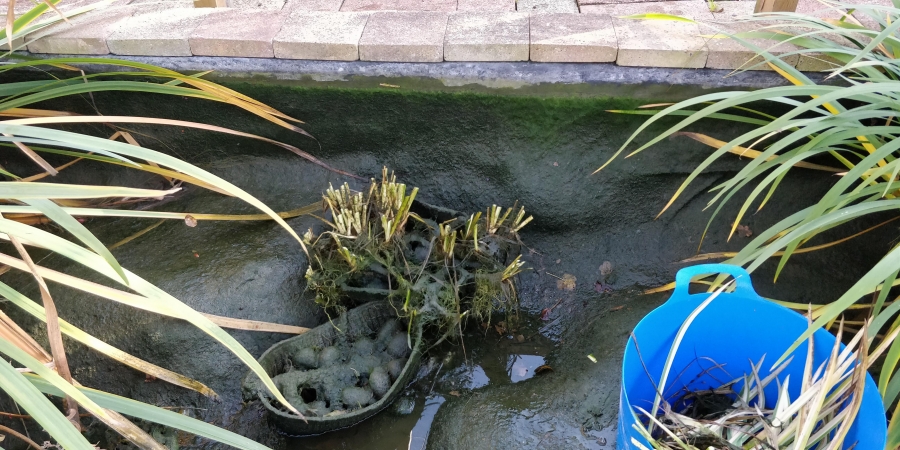 Arnos Grove, London pond cleaning