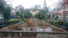 Hackney, London pond clean