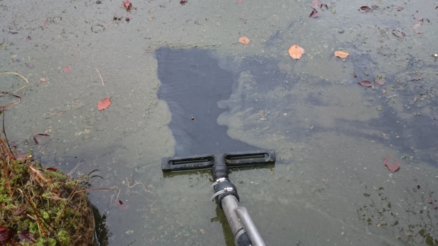 Hackney, London pond clean