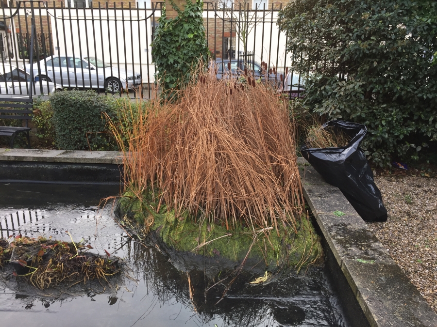 Hackney, London pond clean