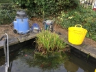 Hackney, London pond clean