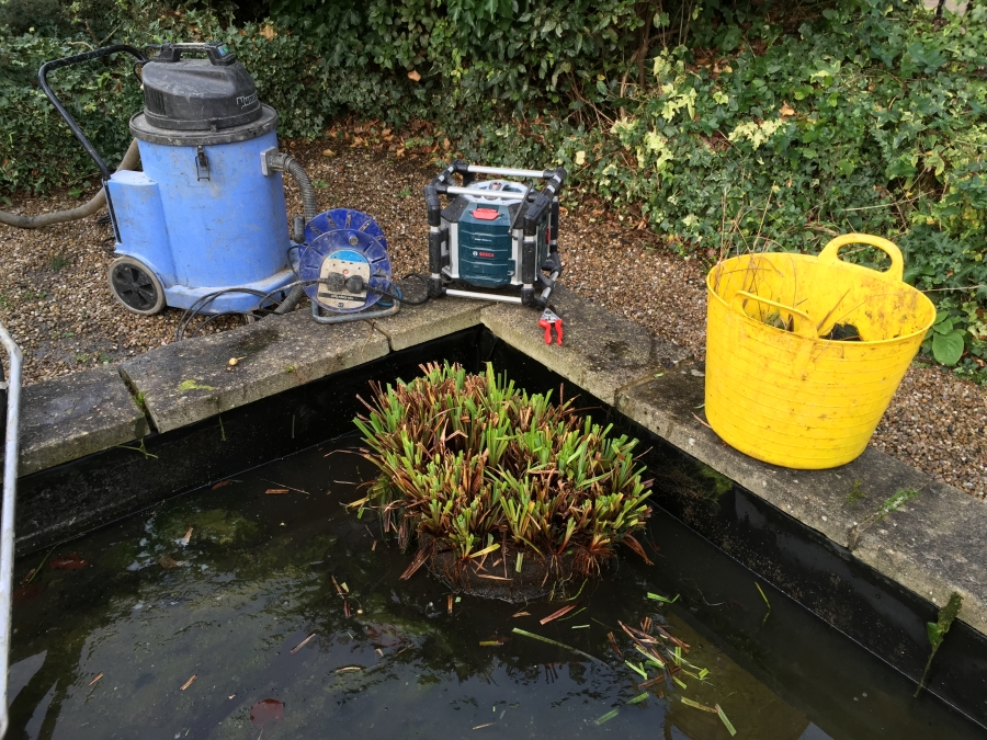 Hackney, London pond clean