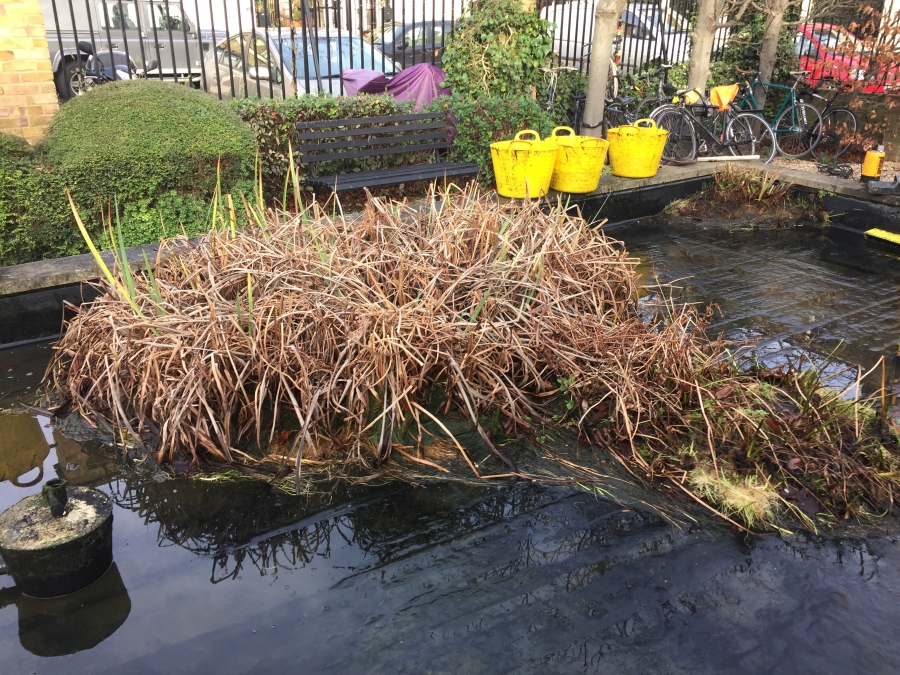 Hackney, London pond clean