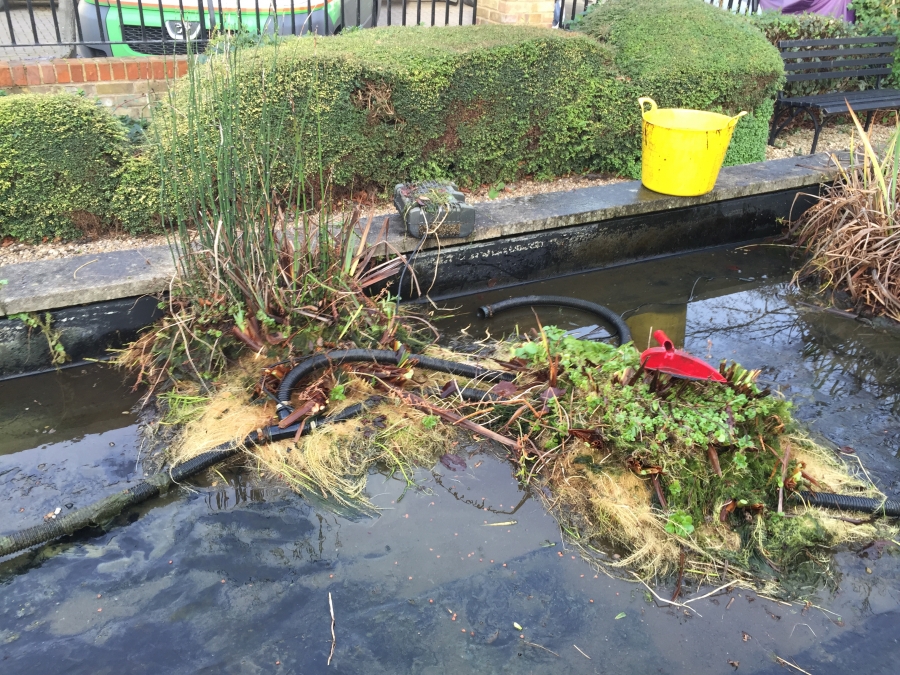 Hackney, London pond clean