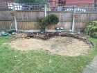 koi pond build, Hockley, Essex