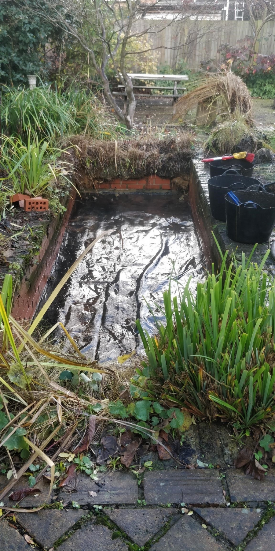 Hanwell, London pond clean