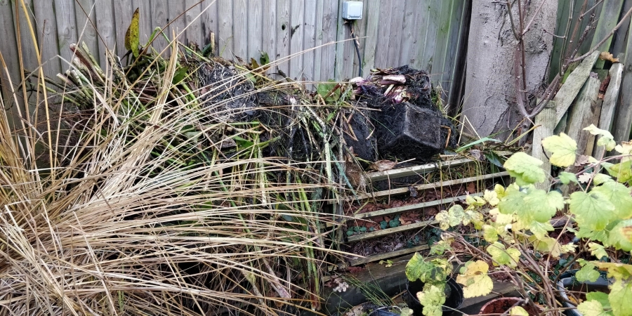 Hanwell, London pond clean