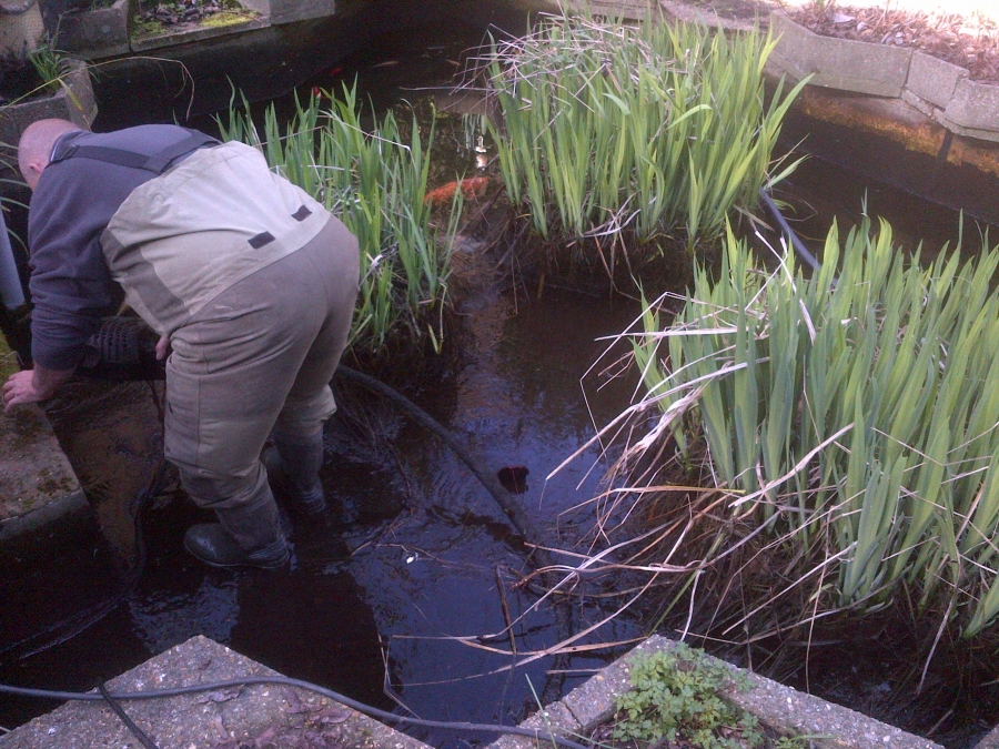 Pond fibreglassing Care home in Southwark London