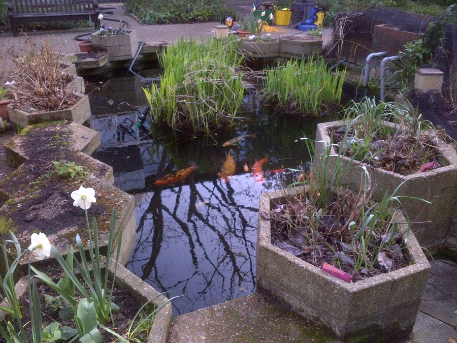 Pond fibreglassing Care home in Southwark London