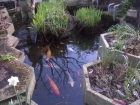 Pond fibreglassing Care home in Southwark London