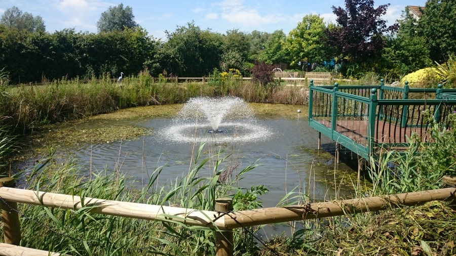 Over, Cambridgeshire weed removal and fountain