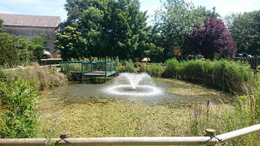 Over, Cambridgeshire weed removal and fountain