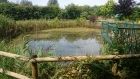 Over, Cambridgeshire weed removal and fountain