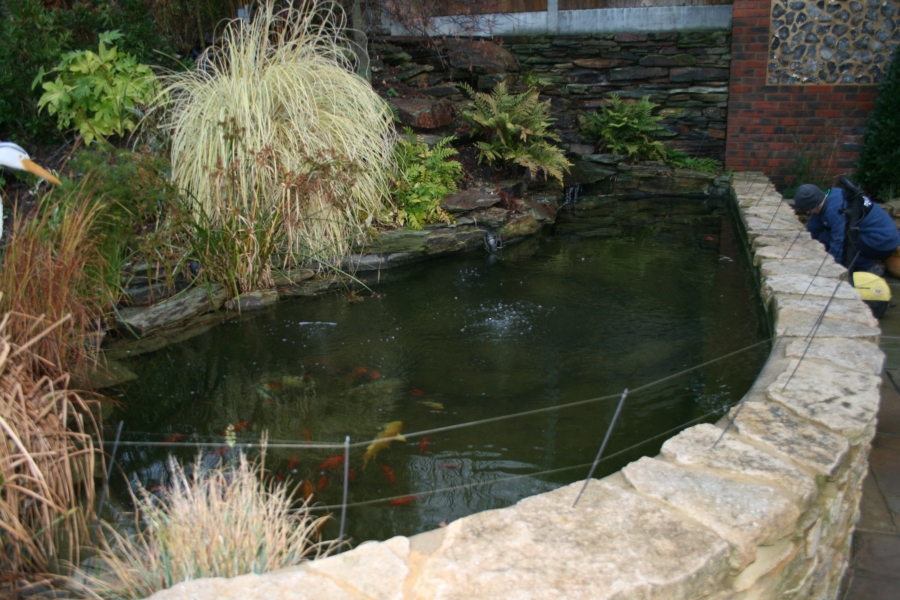 Pond clean Loughton Essex