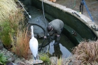 Pond clean Loughton Essex