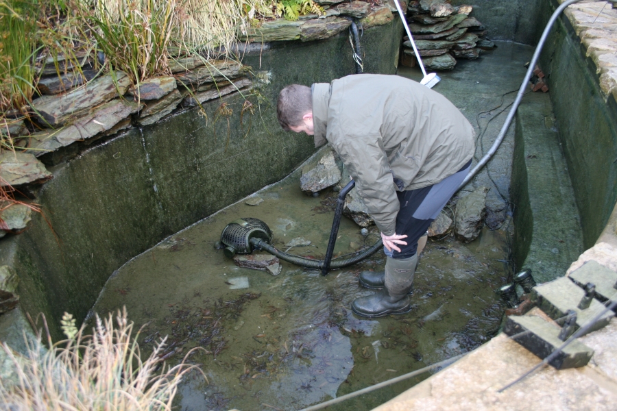 Pond clean Loughton Essex