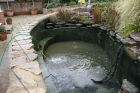 Pond clean Loughton Essex