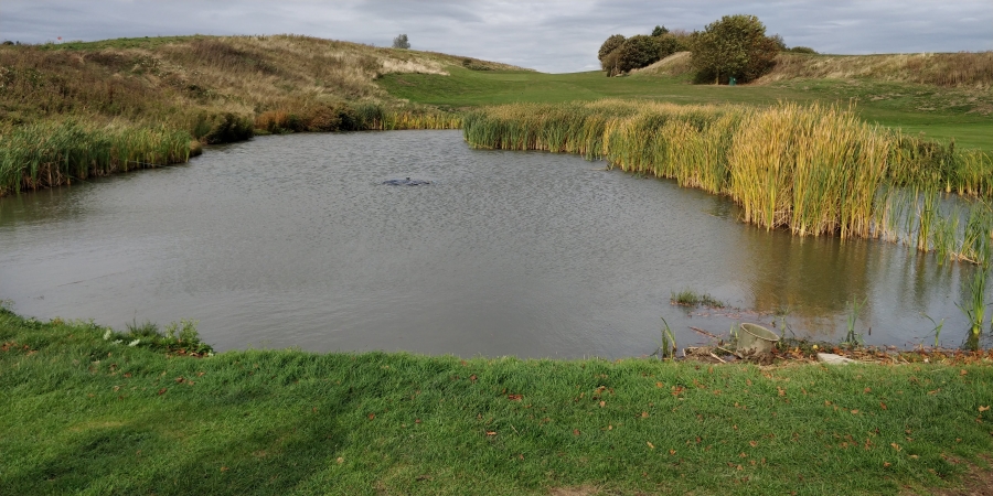 Fountain Repair Stoneley Park Golf Course Middlesex