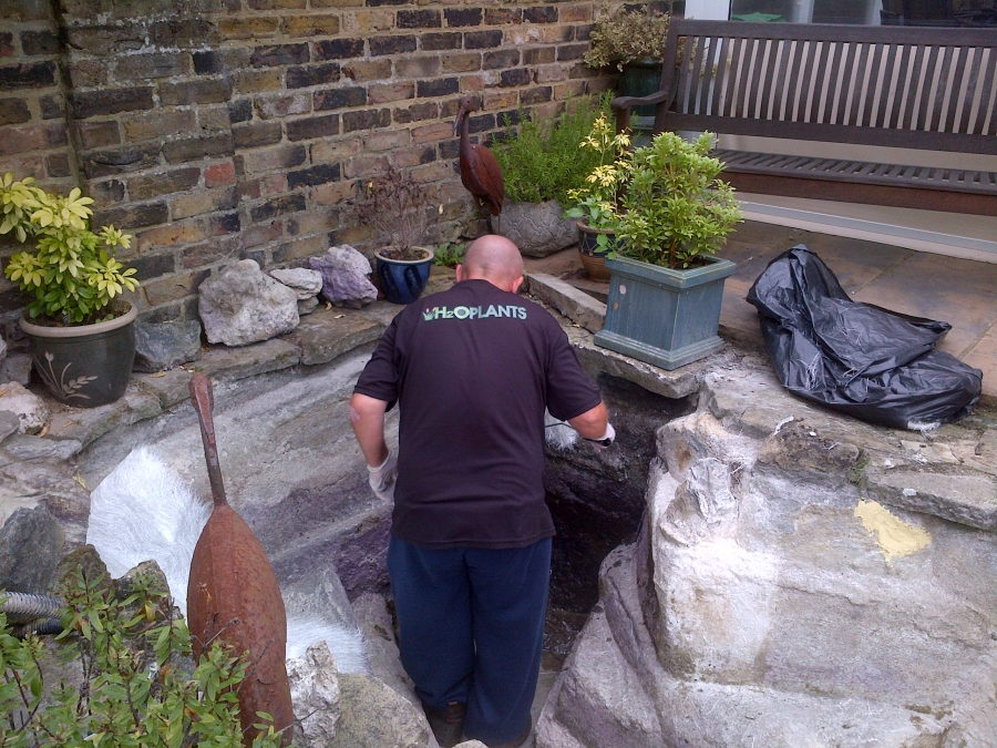 Pond fibreglassing Greenwich London