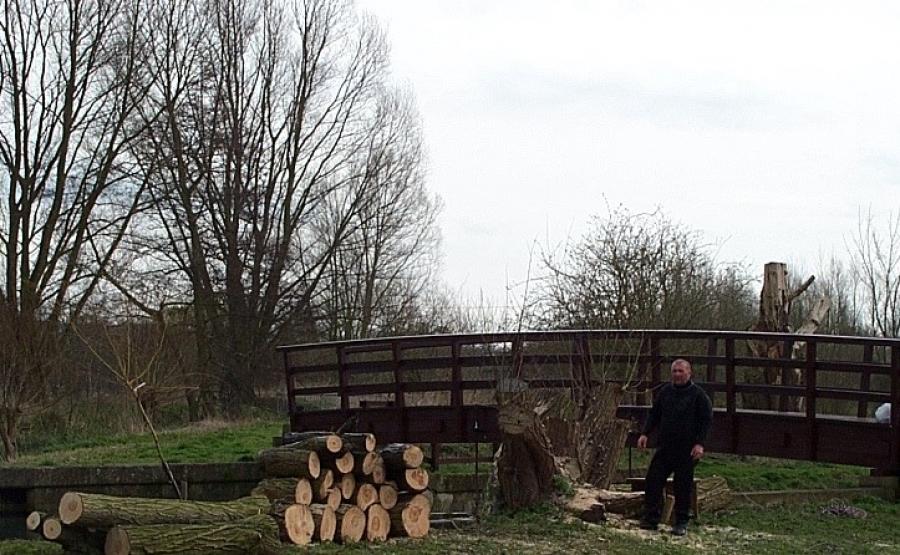 Amwell Magna Fishery Tree works along River Lea Stansted Abbotts Hertfordshire