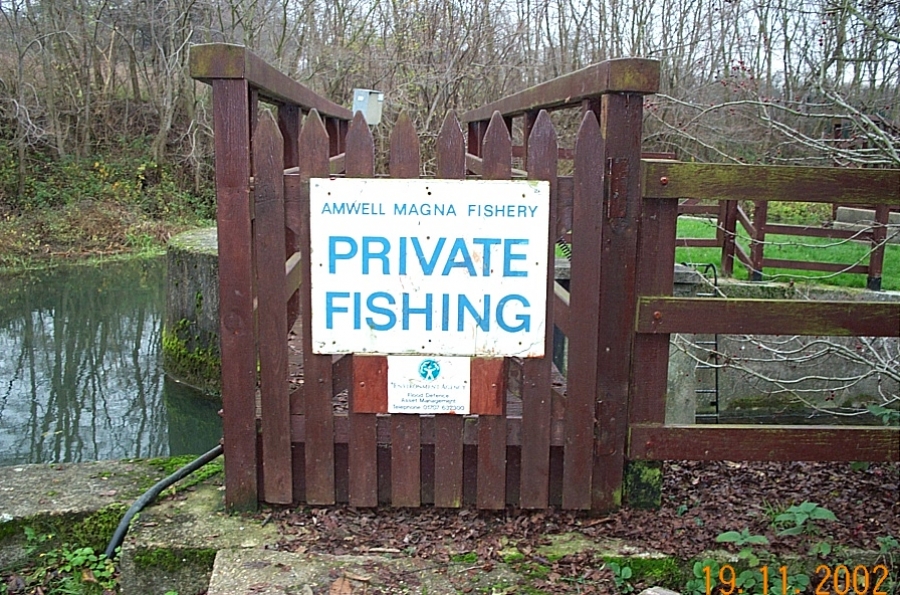 Amwell Magna Fishery Tree works along River Lea Stansted Abbotts Hertfordshire