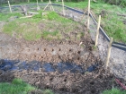 Reedbed creation for water Voles Canvey Island Essex