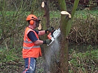 Tree removal over pond in Welham Green Hertfordshire