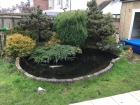 Croydon London pond liner repair