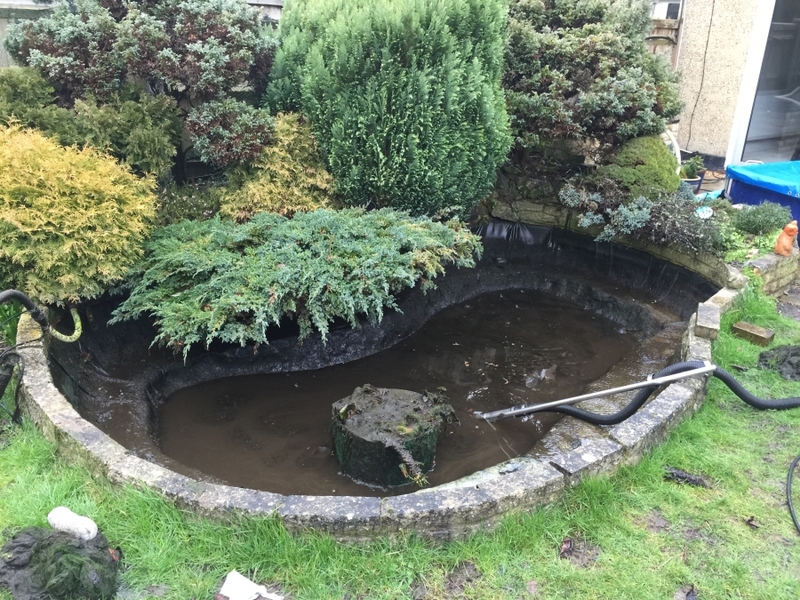 Croydon London pond liner repair