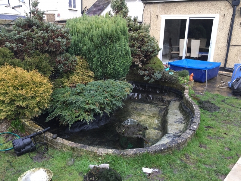 Croydon London pond liner repair