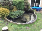 Croydon London pond liner repair