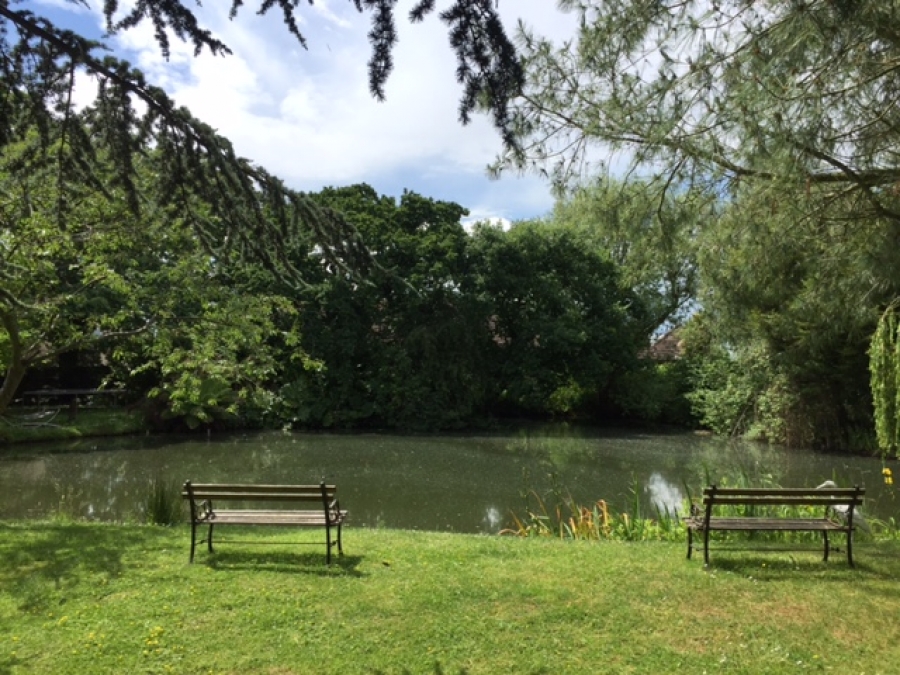 Excess aquatic vegetation removal South Wooden Ferris Essex