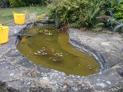 Stansted Mountfitchet Essex pond clean